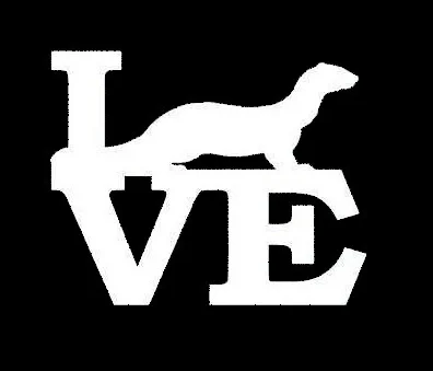 

Cute wild animals Ferret Love Sticker Harness For Window Door Kayak Vinyl Decal 13x13cm