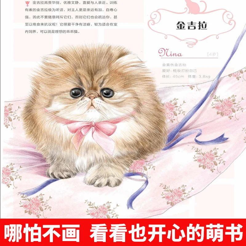 Книга для рисования с китайскими карандашами Feile Bird милый кот книга обучения