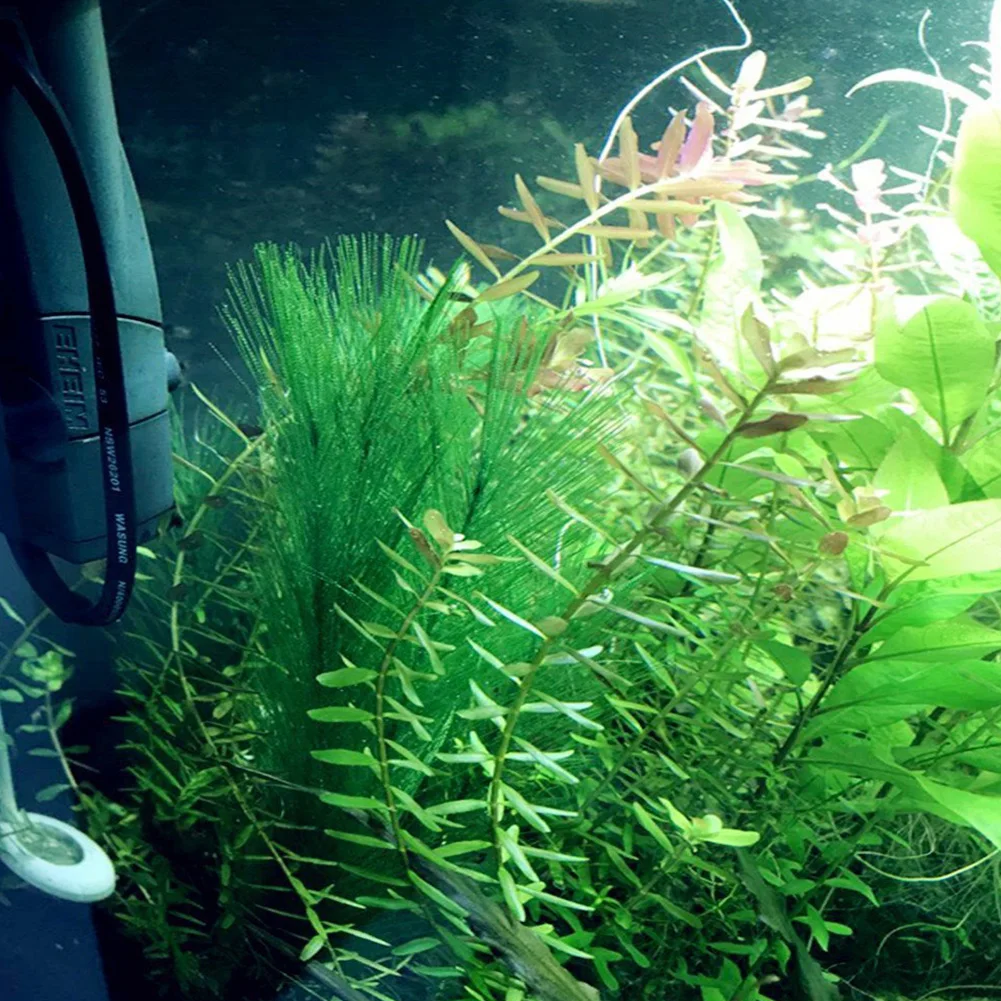 3 шт. принадлежности для рыбного садка искусственные водные растения аквариумные