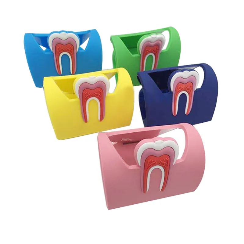 

5pcs/lot Dental Cute Name Card Holder Rubber Teeth-Shape Molar Shaped Phone Display Storage Stand for Dental Clinic Dentist Gift