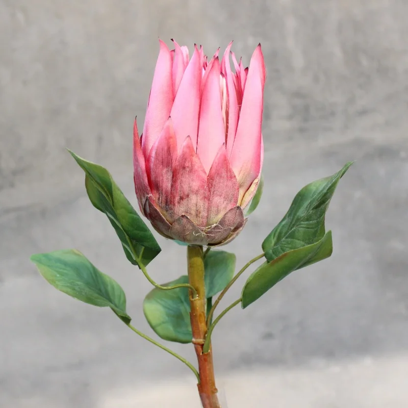 Король Protea искусственные шелковые цветы для дома декоративные вечерние