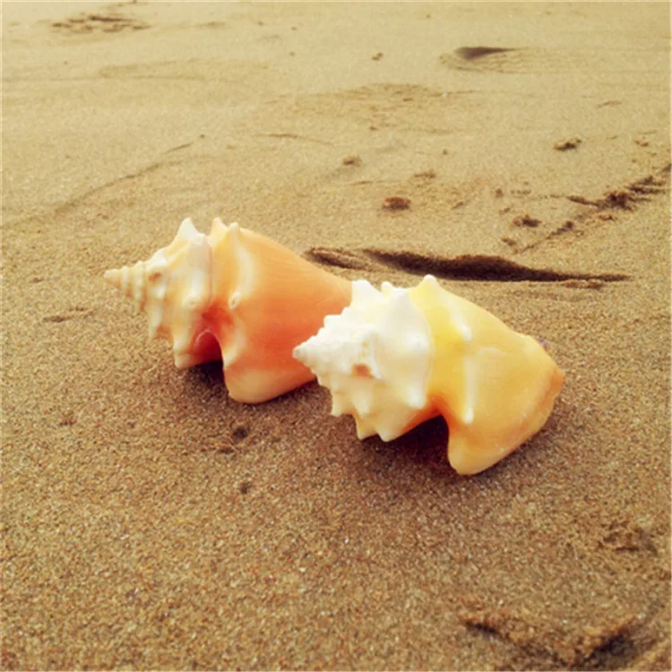 4 6 см оранжевый цвет милые натуральные раковины бытовые аквариумные рыбки