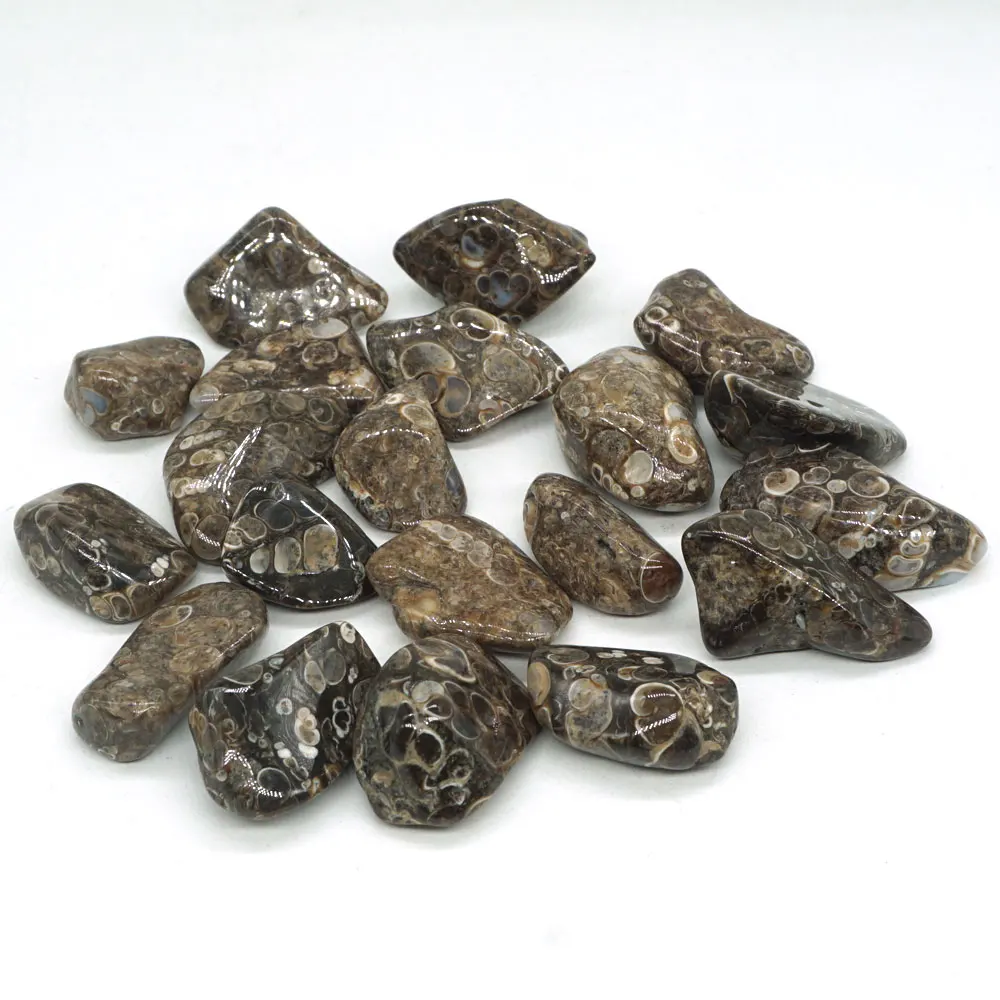 

200g Turitella Agate Bulk Tumbled Stone Irregular Polished Natural Rock Crystal Quartz Chakra Healing Decor Minerals Collection