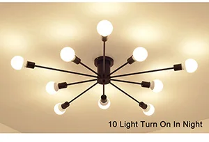 Современные художественные потолочные люстры Lamparas De Techo lustre Luminaria Abajur, потолочные светильники для домашнего освещения, Светильники для гостиной - Цвет абажура: 10 light black