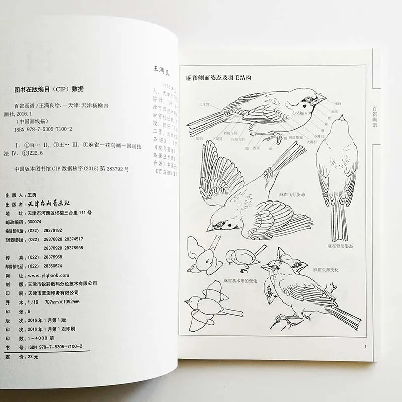Книга-раскраска Wang Manliang 96 страниц искусство воробей раскраска антистресс для