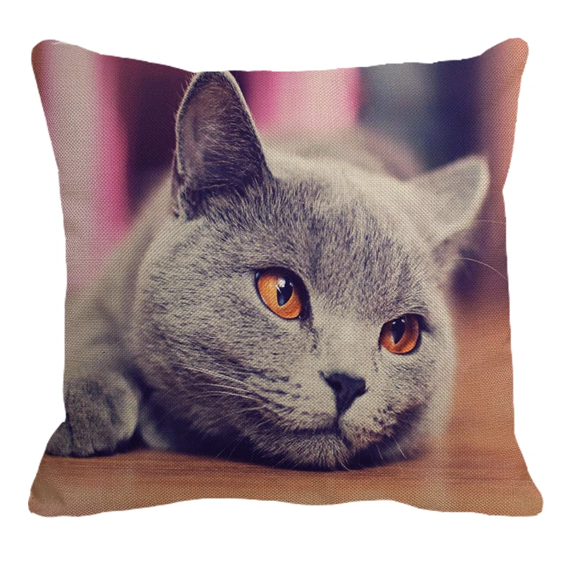 XUNYU Cute British Shorthair Cat Linen Pillowcase Sofa Decorative Pillow Cover Animal Pattern Square Cushion 45X45cm AC011 |