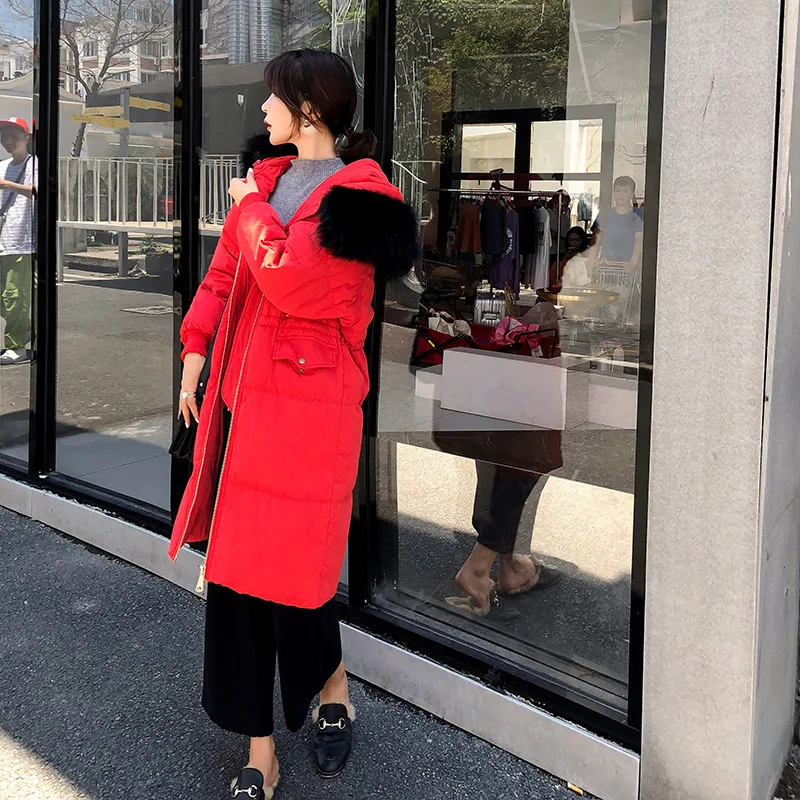 Зимние теплые Для женщин длинный пуховик 2018 г. Новая Женская Корейская свободная