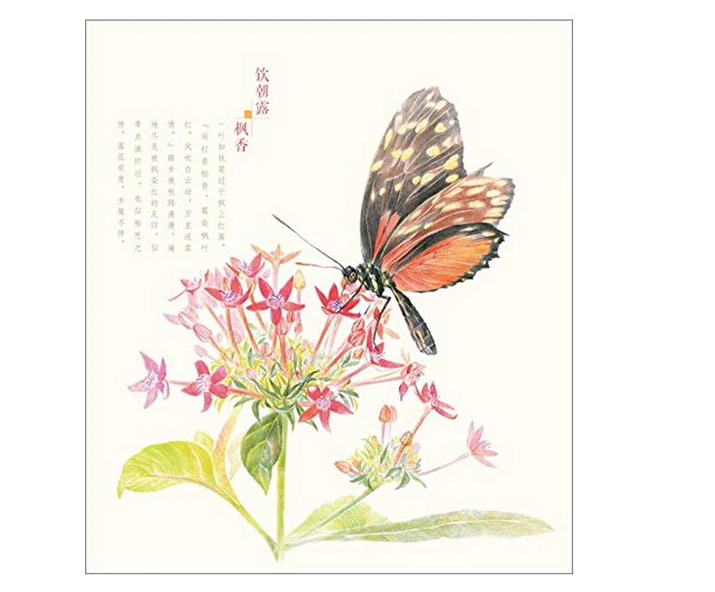 Chinese line drawing books for adult coloring Color pencil painting training book beginners -flower butterfly | Канцтовары для