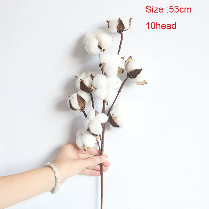 53cm 10head 7 стилей Натуральные Сушеные хлопковые цветы искусственные растения Цветочная ветка для свадебной вечеринки Декоративные искусственные цветы домашний декор - Цвет: 53cm 10head