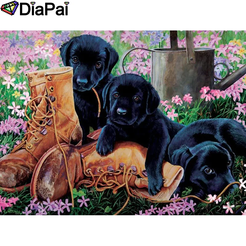 

DIAPAI 5D DIY Diamond Painting 100% Full Square/Round Drill "Animal dog shoes" Diamond Embroidery Cross Stitch 3D Decor A21488