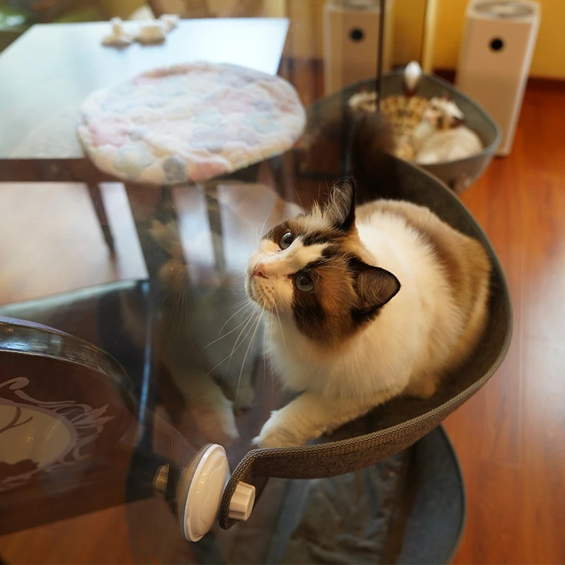 Кошка гамак кровать окно Pod шезлонг присоски теплая кровать для отдыха кошки дом мягкий и удобный хорек клетка-гнездо товары для домашних животных