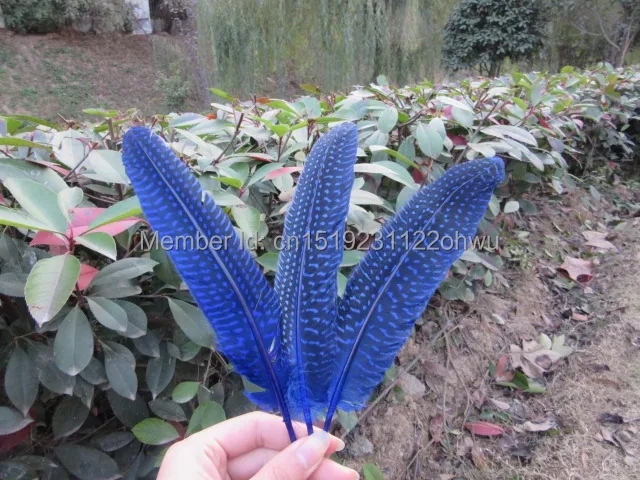 Оптовая продажа 100 шт Высокое качество Красивый Королевский синий морская Сова