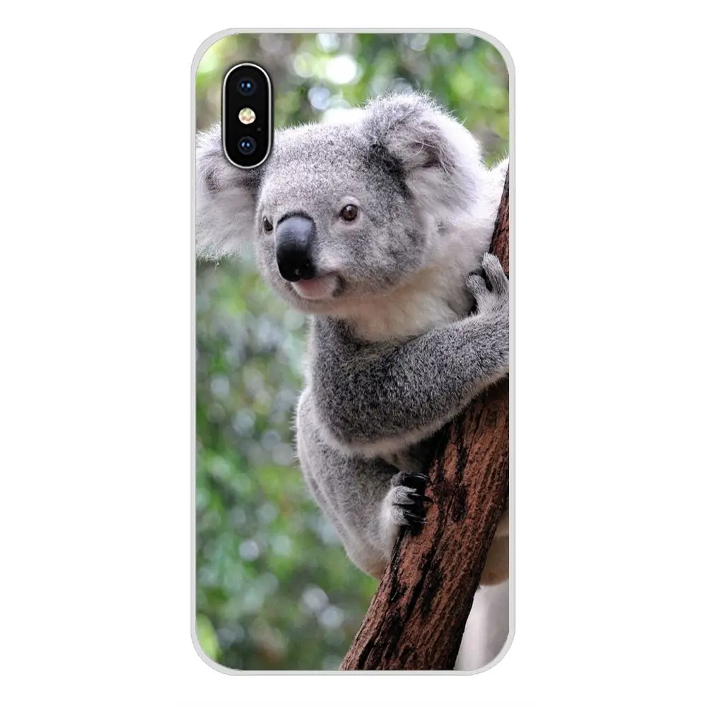 images 9 Для samsung Galaxy S3 S4 S5 мини S6 S7 край S8 S9 S10 Lite рlus Note 4 5 8 9 животное коала аксессуары для телефона чехлы - Цвет: images 9