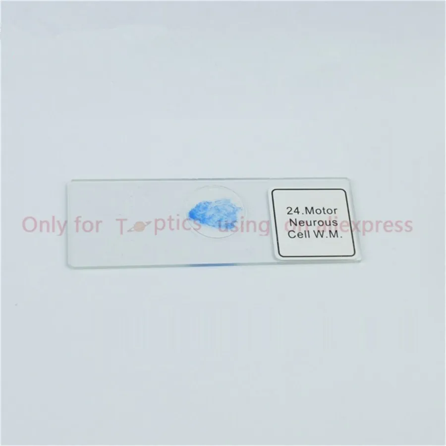

15pcs Prepared Slides Set- Plastic Box Casing telescope