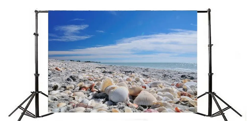 

Фон для фотосъемки морские ракушки голубое небо белое облако природа Романтика