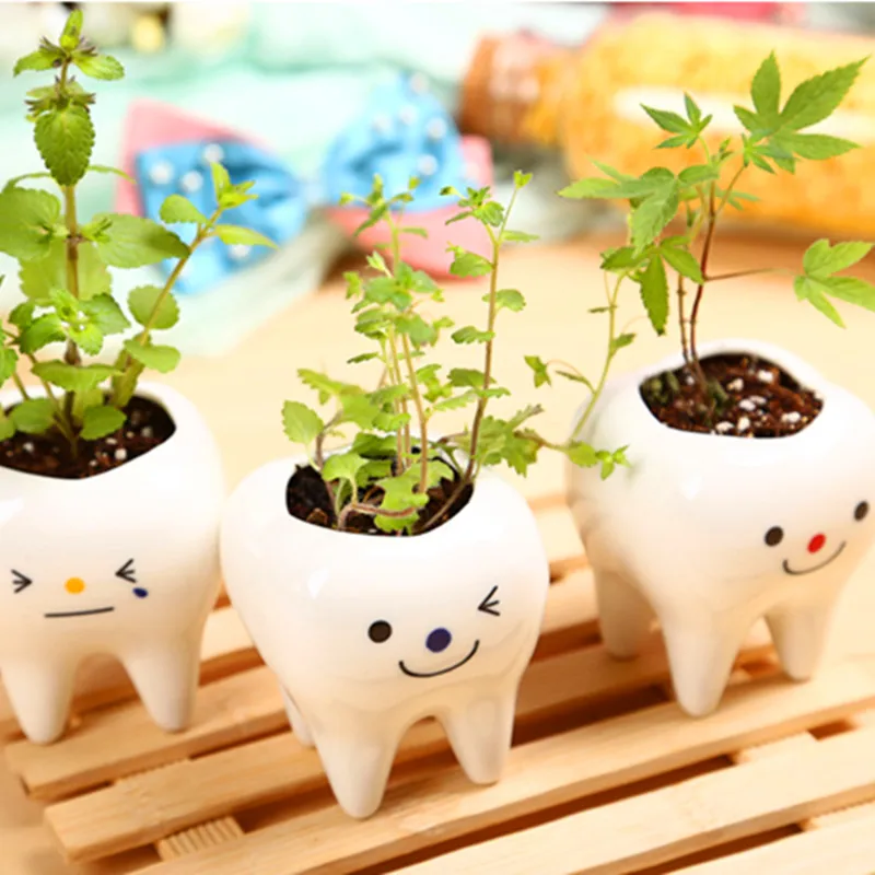 Креативные DIY Мини Зеленые растения бонсай с керамикой в форме зуба горшок