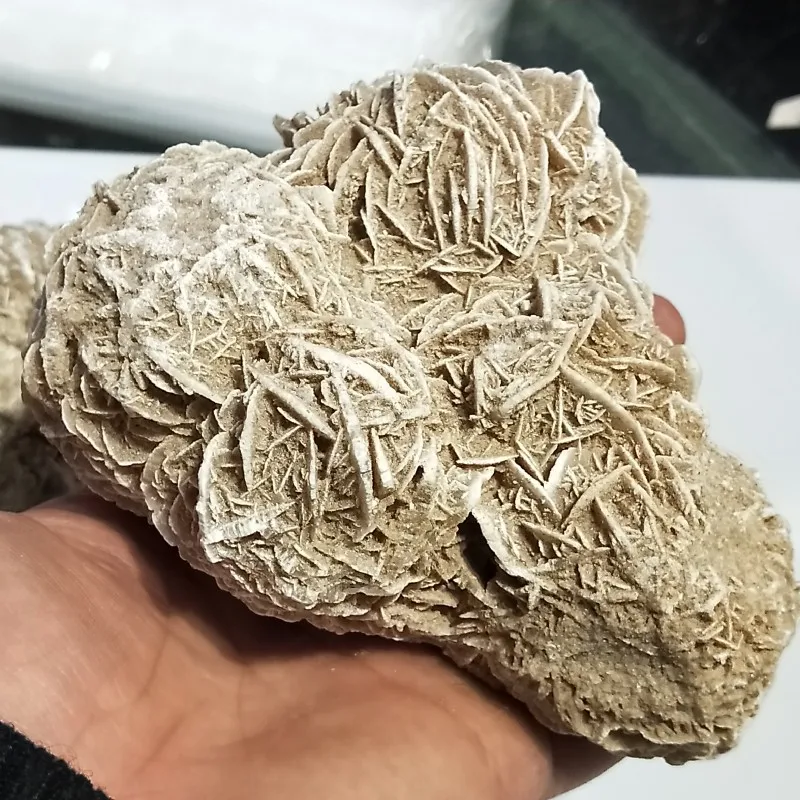 300-600 г натуральные пустынные розовые камни селенит лечение рейки необработанный