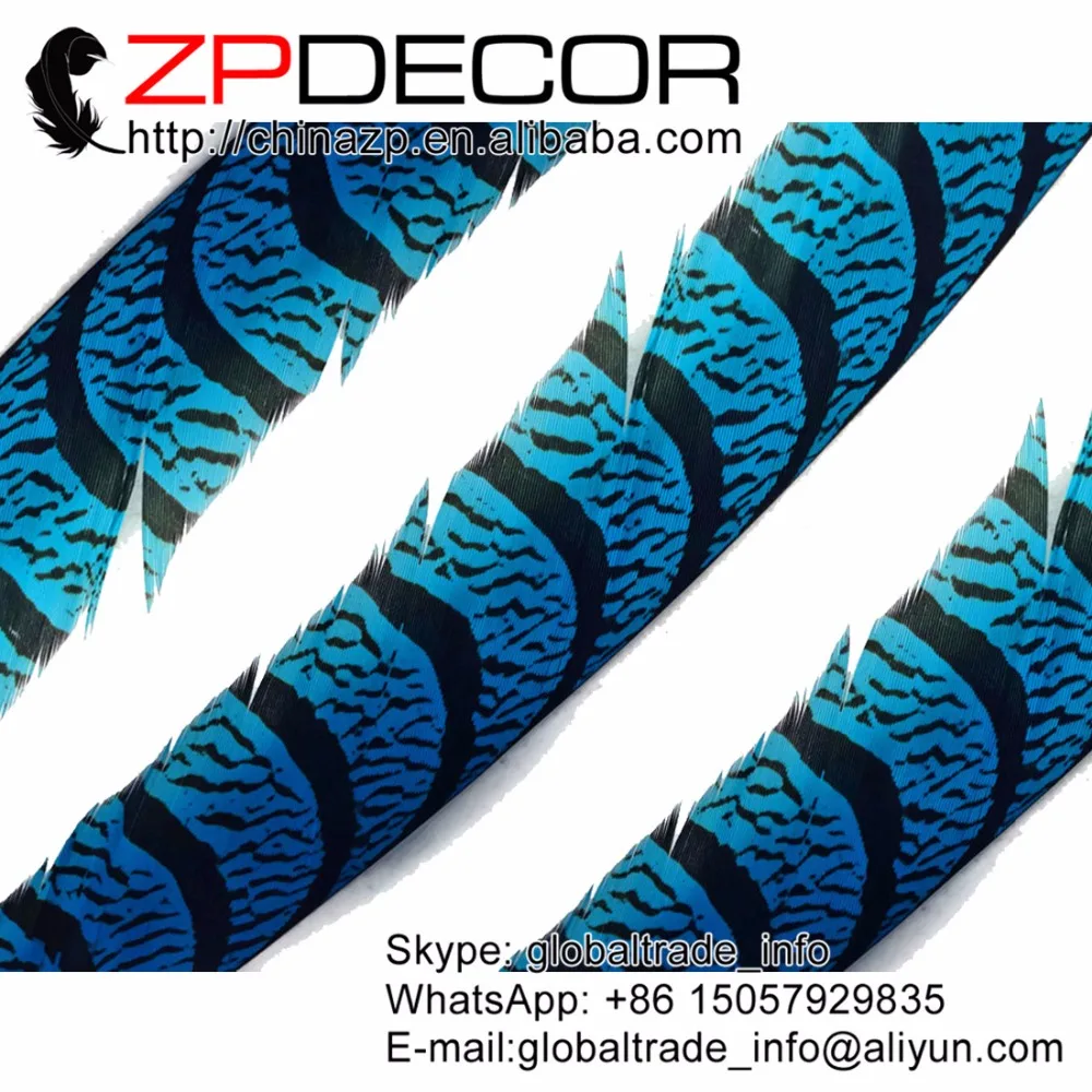 

Zpdecoration 32-36 дюймов (80-90 см) 50 шт./лот бирюзовые синие окрашенные зебры дамские хвостовые перья Amherst ФАЗАНА для модного шоу