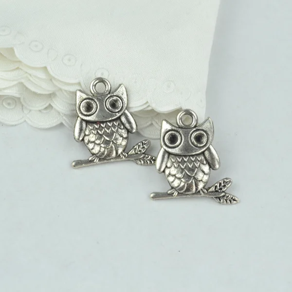 15 шт. фотообои ручной работы 23*22 мм 2154|charm pendant|owl charm pendantpendants for jewelry making |