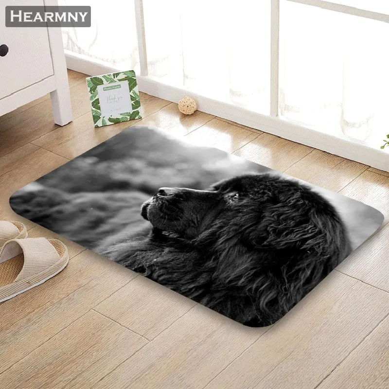 HEARMNY, Новое поступление, коврик для двери, Newfoundland, собака, домашний коврик, машина, сделанный, противоскользящий ковер, для гостиной/прихожей, коврик для ванной, для детей, подарок - Цвет: 2