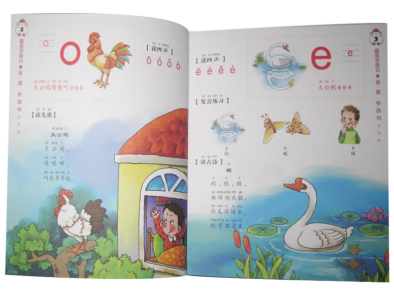 Рисунок 3 - Phonetic DVD Pinyin учебник книга