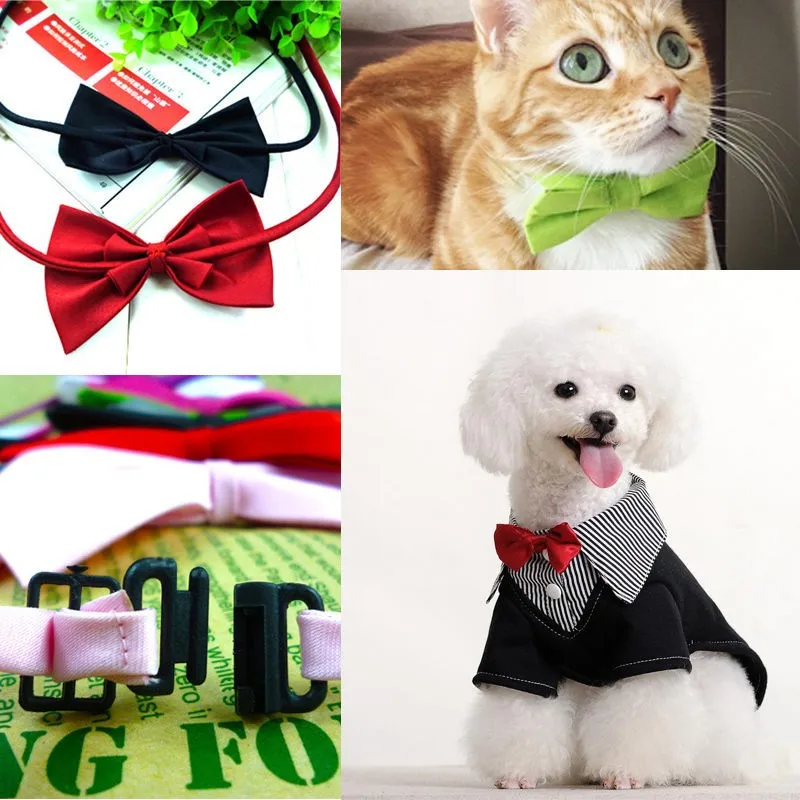 Комплект из 2 предметов галстук бабочка для собаки щенка медведь игрушки одежда