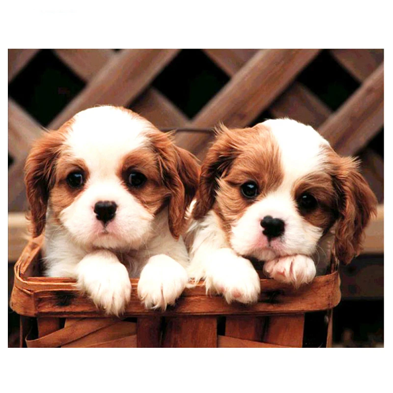 

Набор для алмазной мозаики 5D «сделай сам» с изображением щенка