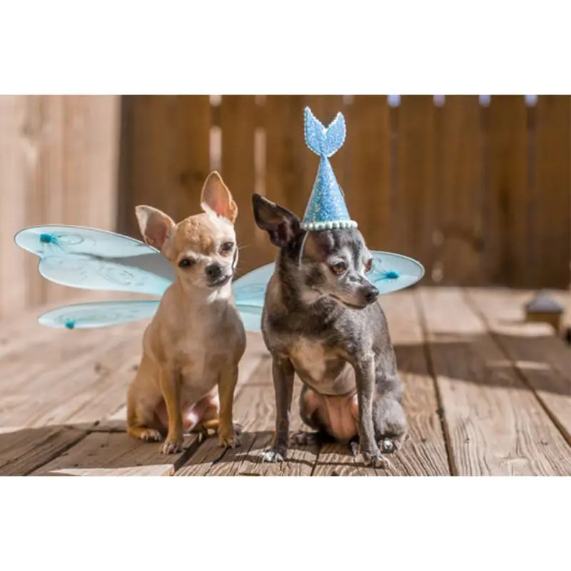Шляпа для собаки домашнего животного дня рождения костюмированной вечеринки