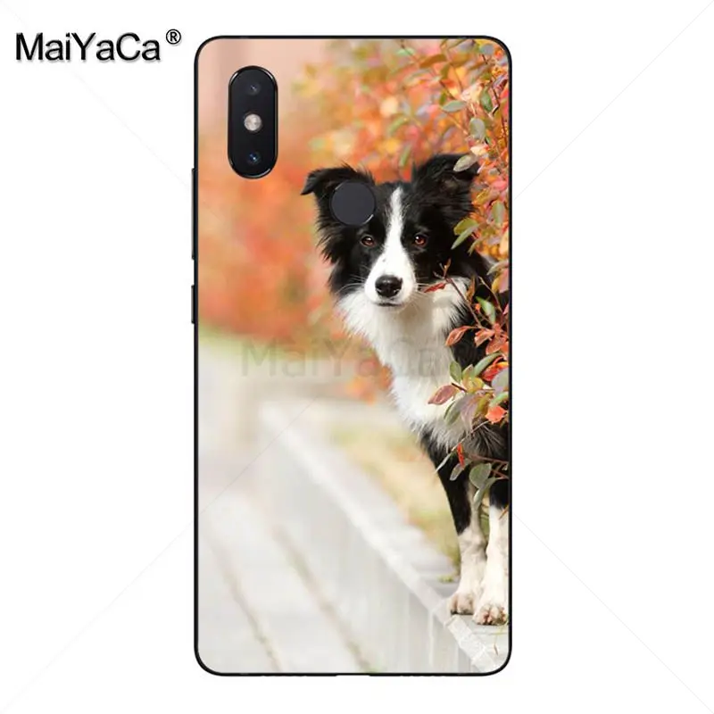 MaiYaCa милый чехол для телефона с изображением колли собаки новинка xiaomi mi 8se 6 note3 redmi