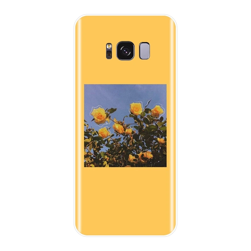 Мягкий силиконовый чехол для телефона Samsung Galaxy S8 S9 Plus S5 S6 S7 Edge задняя крышка с