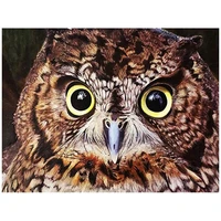 full squareround drill 5d diy diamond painting animal owl diamond embroidery mosaic rhinestones picture decor home wg010