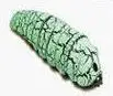 Light green Инфракрасный пульт дистанционного Управление Bionic Worm насекомых Пластик игрушка волшебный жучок мини обманывают шутка животного Хэллоуин день напугать пугать критиками малыш - Цвет: Light green