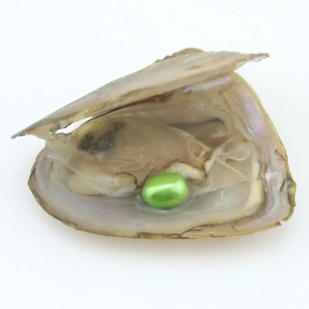 Новинка! овальная жемчужина из натурального жемчуга Oyster 100 шт./лот 7-8 мм