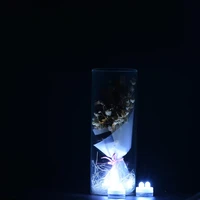 FREE SHIPPING FACTORY SUPPLIRE SUPER Bright WARM WHIET DOUBLE LED Submersible Led Fairy Lights Batttery CR2032