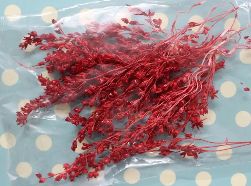 Сохраненные цветы для рукоделия Подарочный материал аксессуары украшение