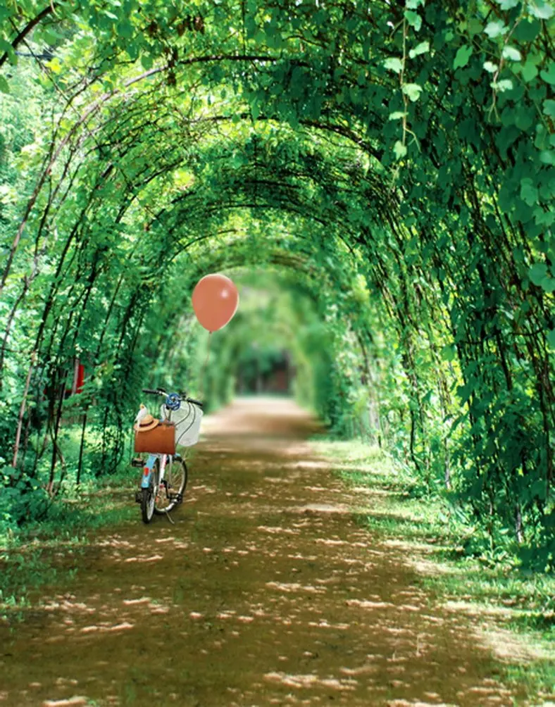 5x7ft зеленые листья дорожный велосипед воздушный шар фотографии фоны фотостудия