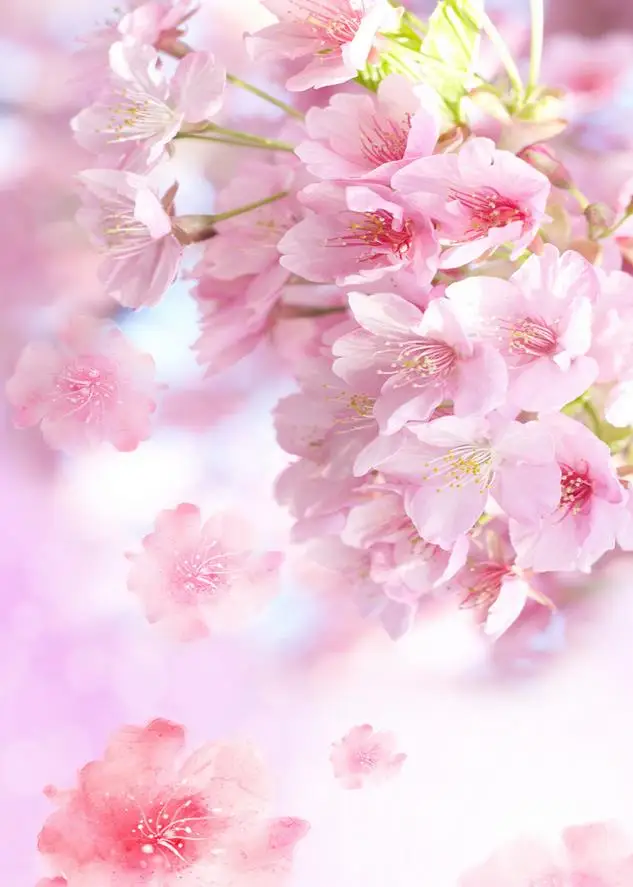 Дома декоративные настенные обои фрески цветы Peach blossom потолок 3d современный для