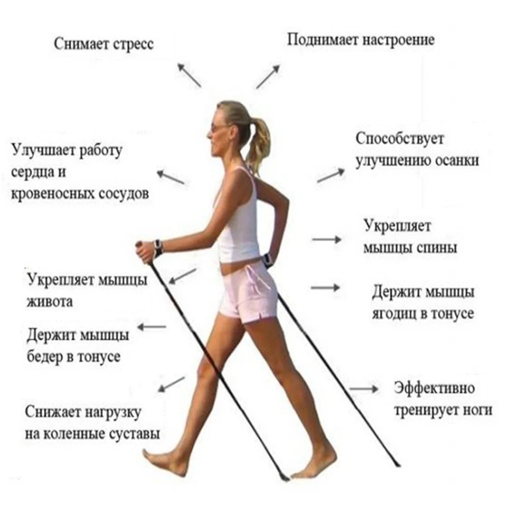 2 шт./лот анти шок скандинавские трости телескопические треккинговые походные палки сверхлегкие трости с резиновыми наконечниками протекторы