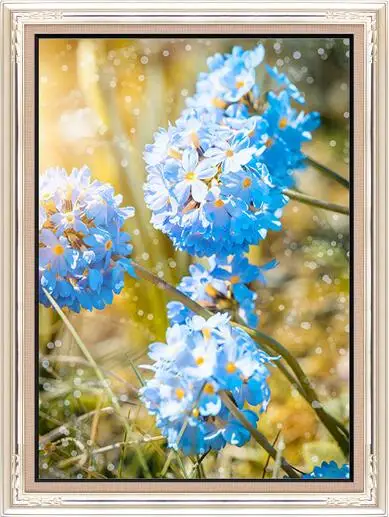 

Needlework,DIY Cross stitch,Sets For Full Embroidery kit,blue little daisy flower Printed Pattern cross stitch wedding Gift