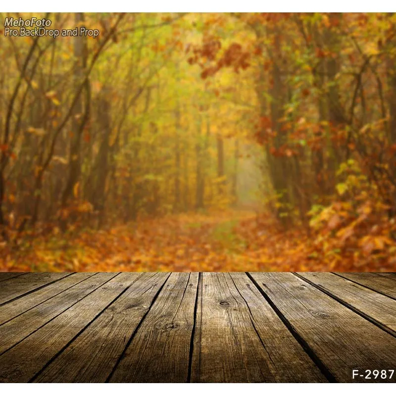 

MEHOFOTO Vinyl Photography Backdrops Valentine's Day Computed printed Children Backdrops for photo studio F-2987