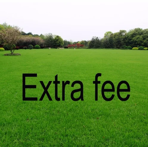 

Extra Fee link,You can pay here