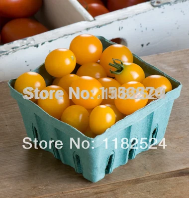 ~50 *yellow Mini (f1) Tomato Seeds Bonsai Fruit Vegetables |
