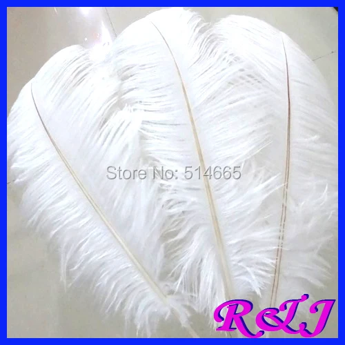 

EMS Free shipping Cheap ostrich feather 100pcs 22-24 inches 55-60cm White Ostrich plumage ostrich plume