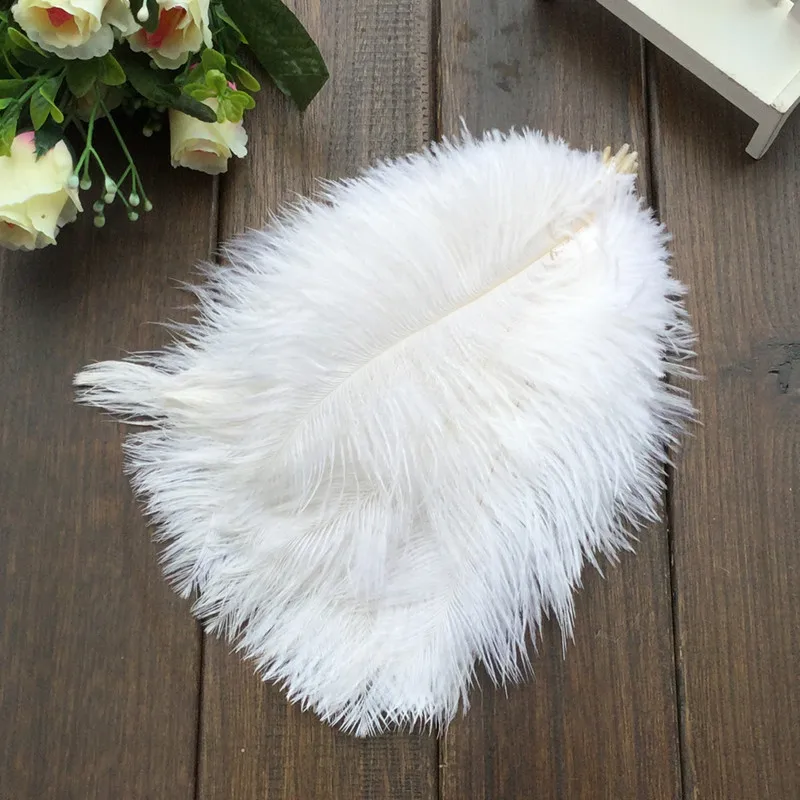 Бесплатная доставка/Жесткая Удочка 50 шт белые натуральные перья страуса 20 25 см 12