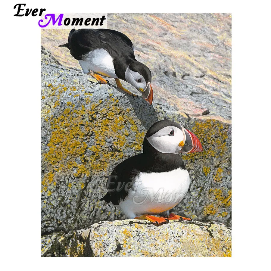 Ever Moment Алмазная картина Puffin Hobby 5D DIY украшение ручной работы для дома вышивка