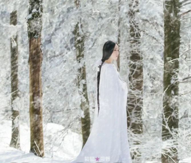 

Mei Hua Xue Plum Blossom in Snow Simple Elegant White Costume for Outdoor Thematic Photography Costume with Cloak