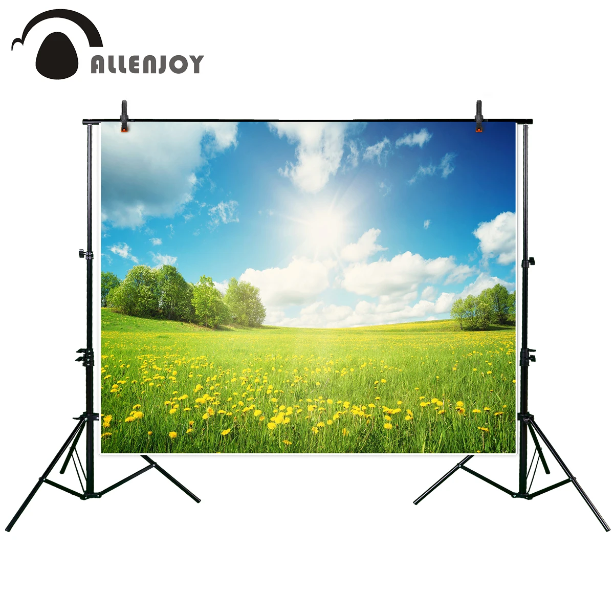 

Allenjoy photographic background Field with yellow dandelions and blue sky spring warm sun new backdrop photocall photo printed