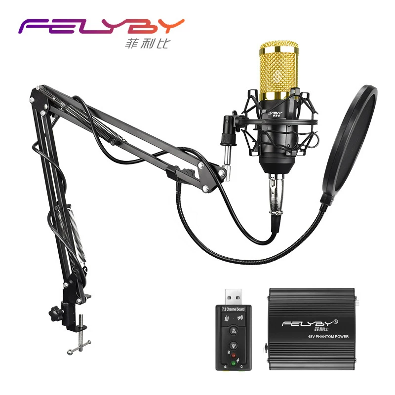 FELYBY BM800 700 высококачественный профессиональный конденсаторный микрофон