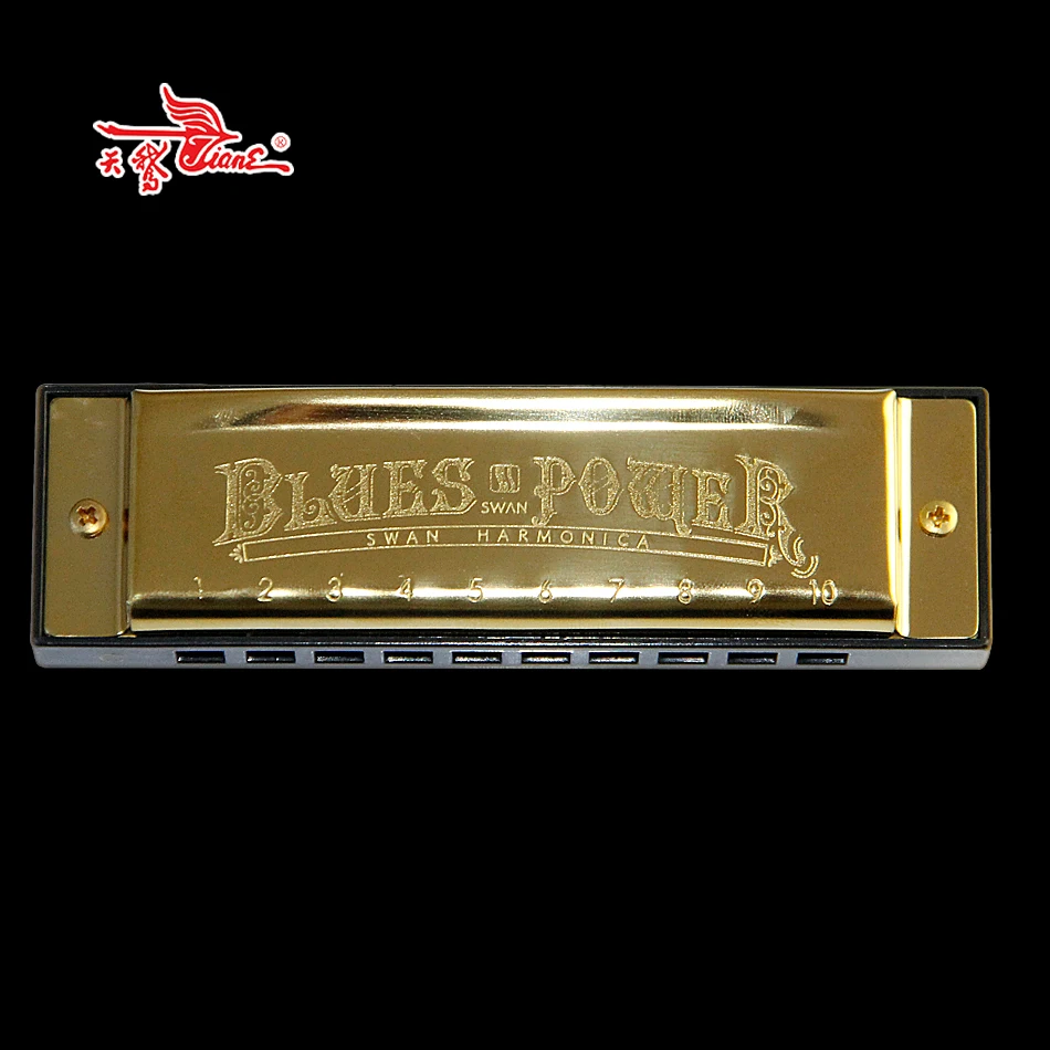 Diatonic Blues Harmonica / 10 Hole with 20 Tone Brass Reed Harmonicon C key Mouth Organ | Спорт и развлечения