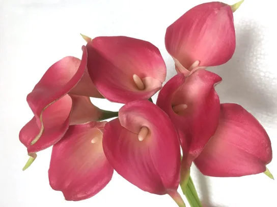 Искусственные цветы из ПУ на ощупь 12 шт./лот мини Калла искусственные для